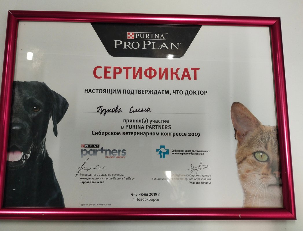 Документ или сертификат