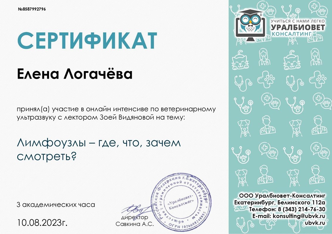 Документ или сертификат