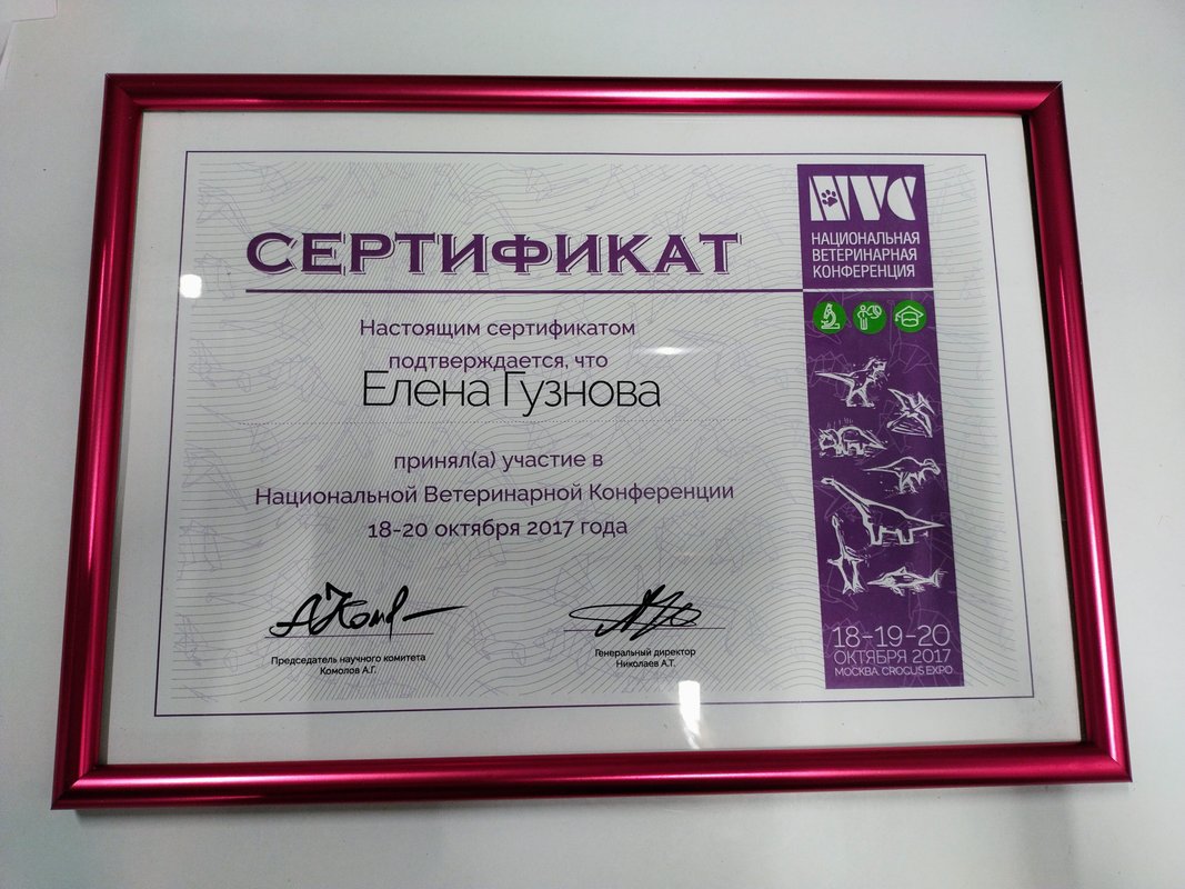 Документ или сертификат