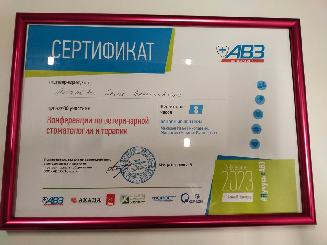 Документ или сертификат