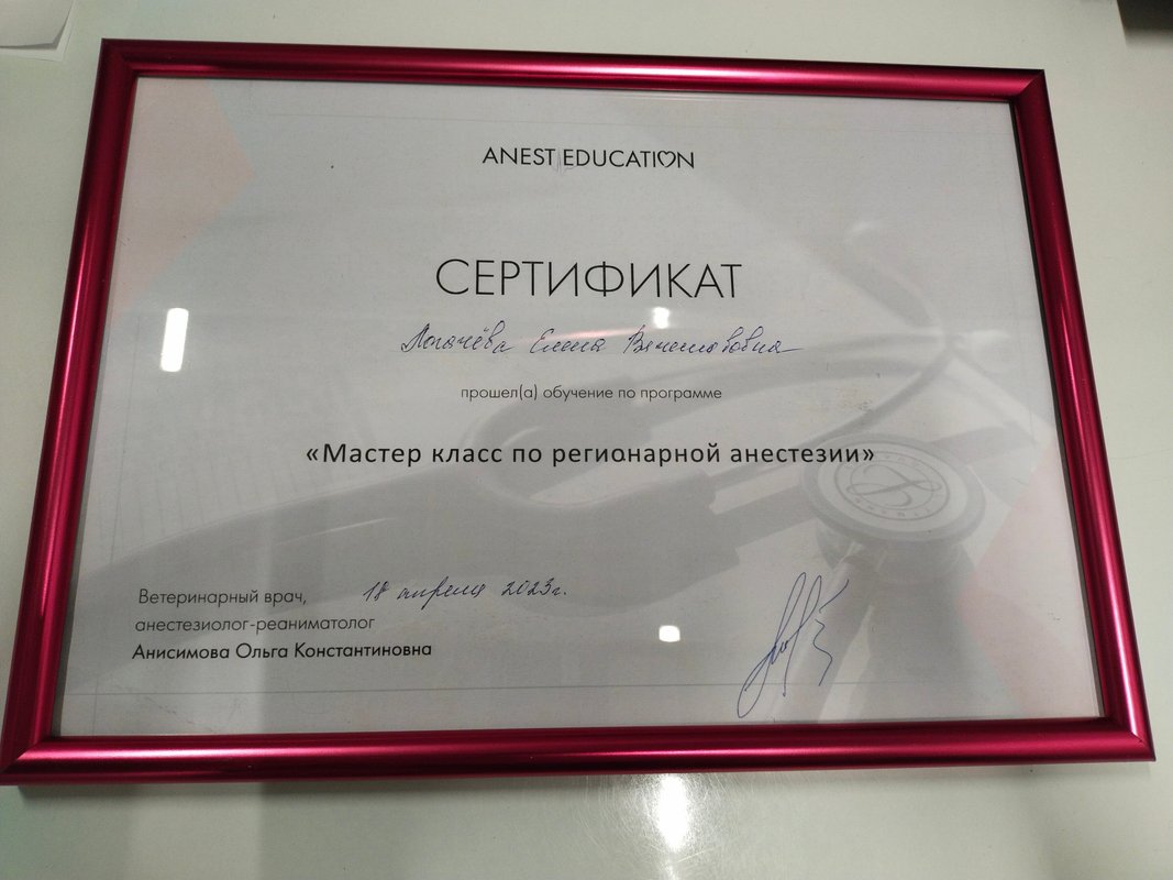 Документ или сертификат