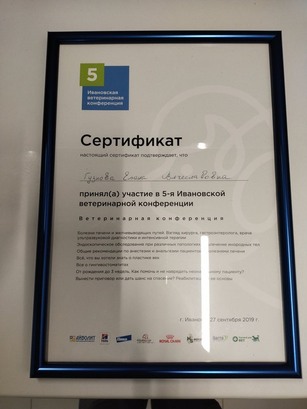 Документ или сертификат