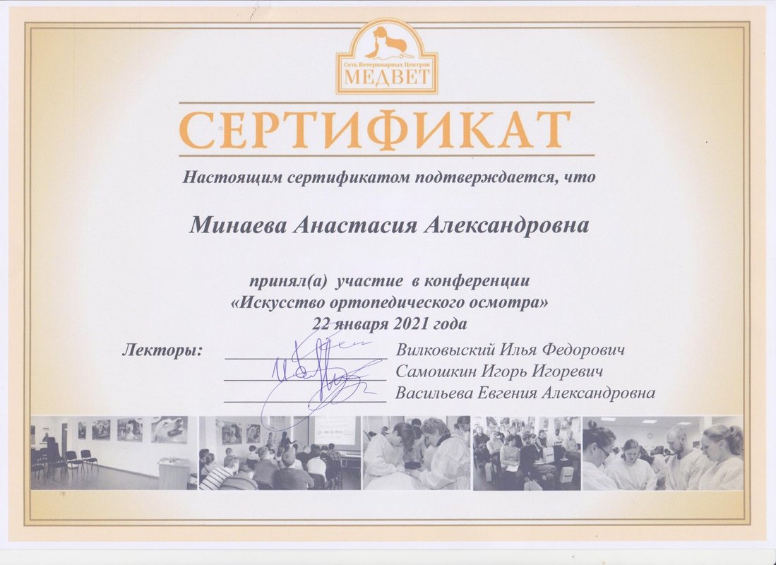 Документ или сертификат