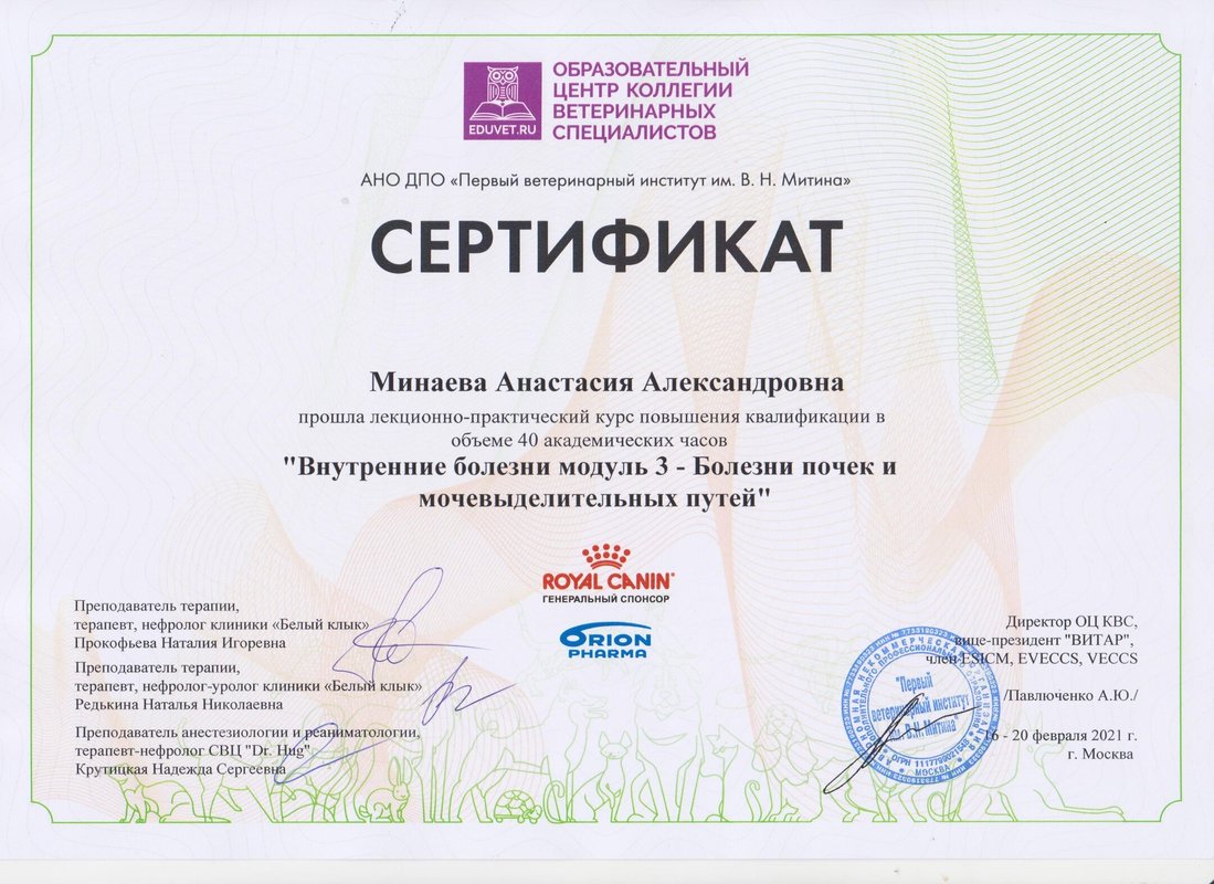 Документ или сертификат
