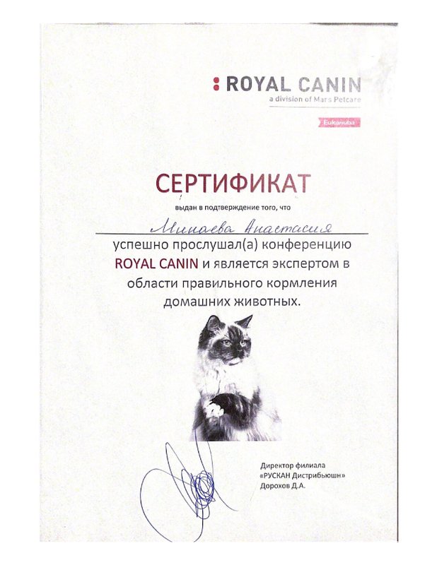 Документ или сертификат