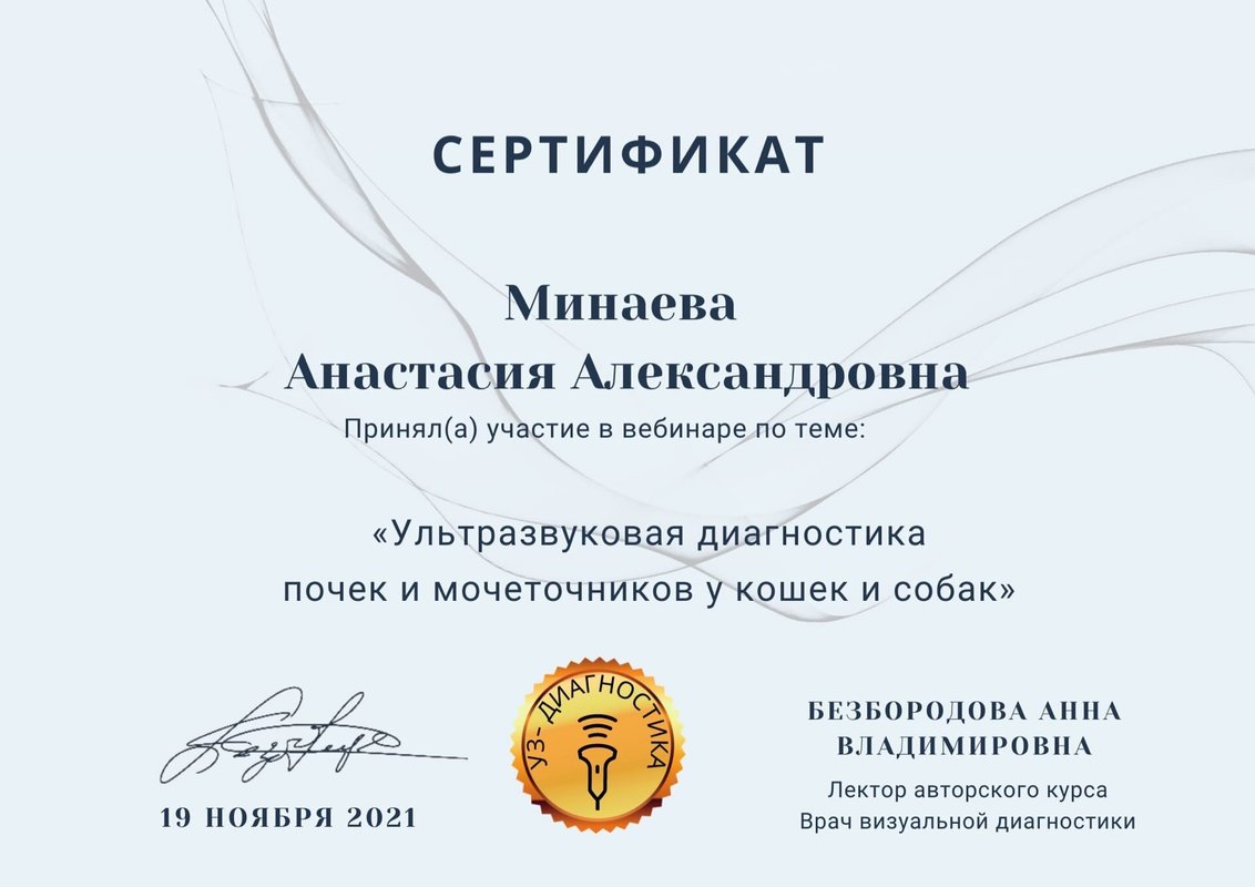 Документ или сертификат