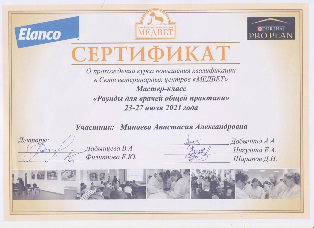 Документ или сертификат