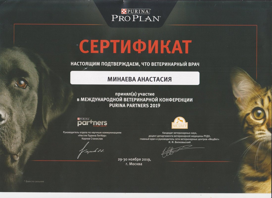Документ или сертификат