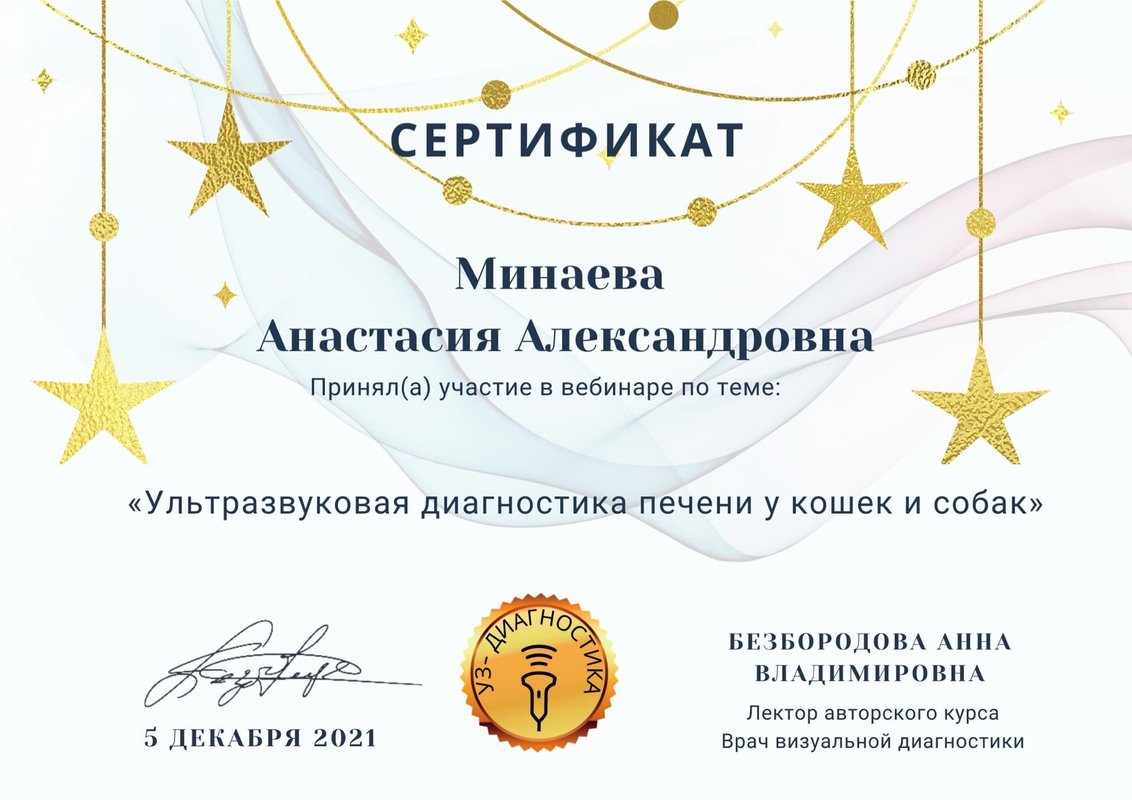 Документ или сертификат