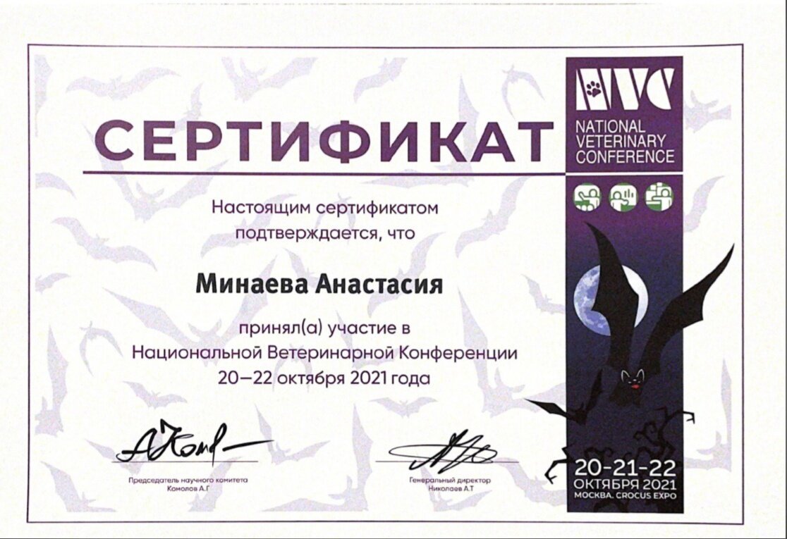 Документ или сертификат