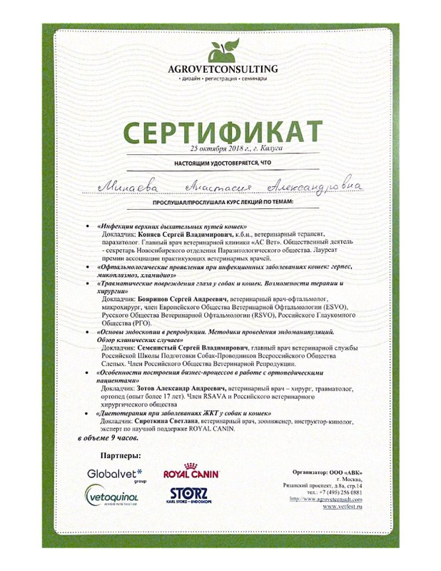 Документ или сертификат