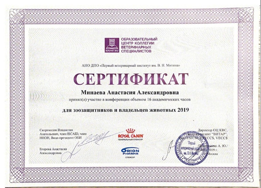 Документ или сертификат
