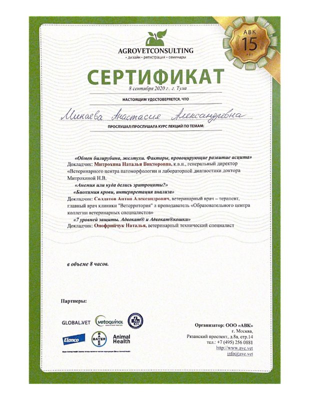 Документ или сертификат