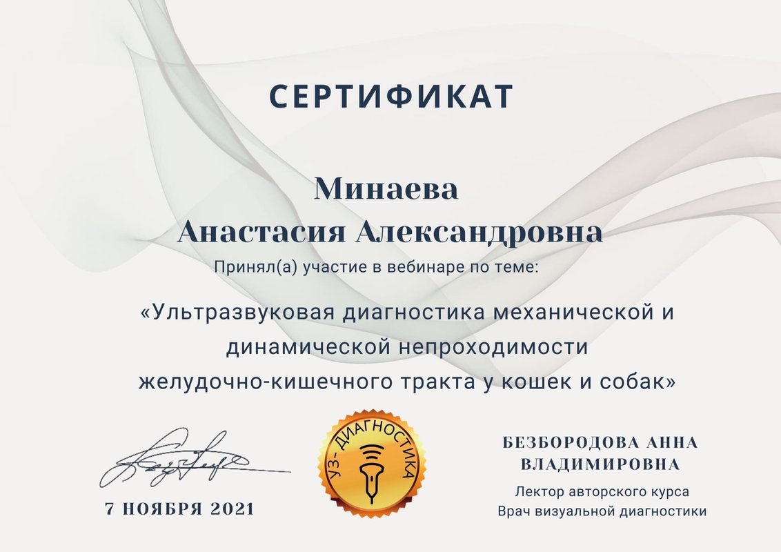 Документ или сертификат
