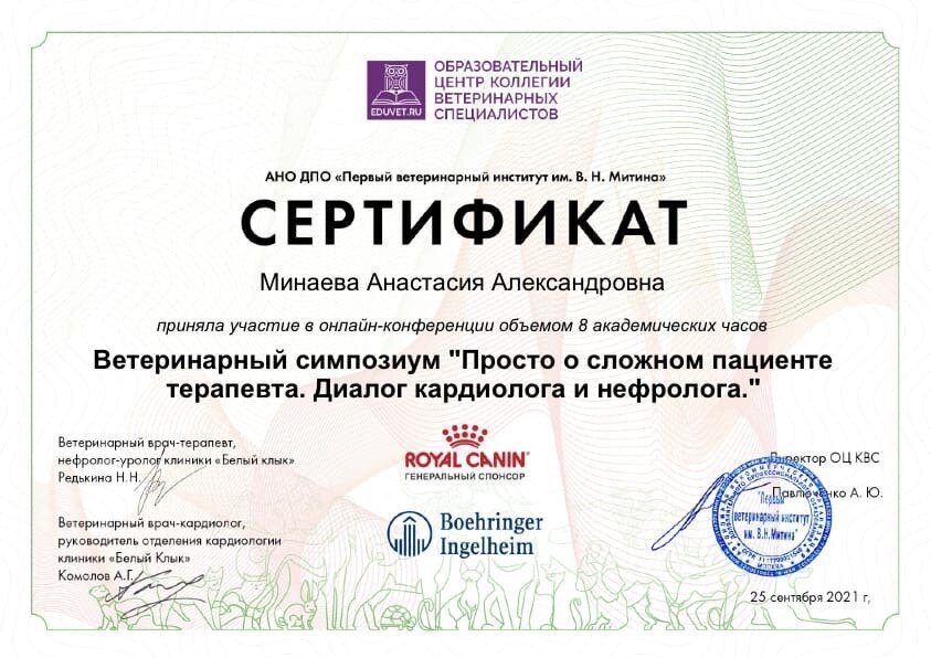 Документ или сертификат