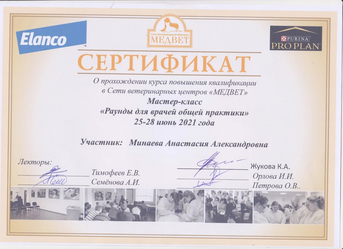 Документ или сертификат