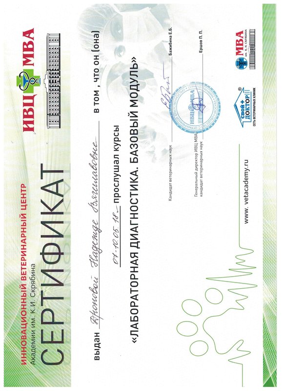 Документ или сертификат