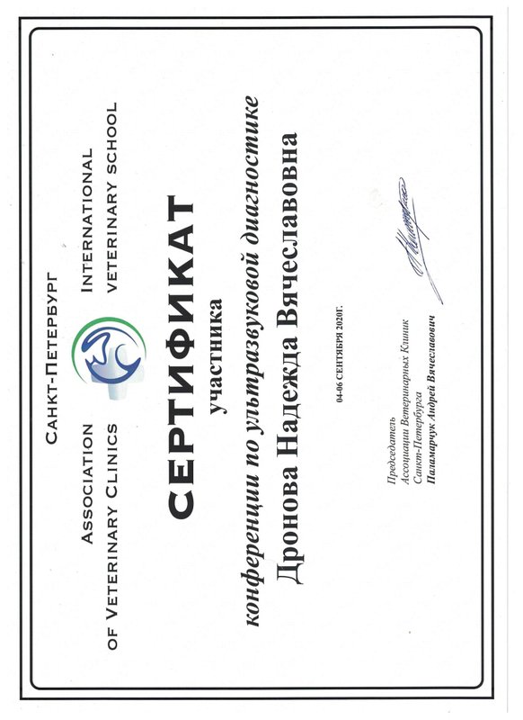 Документ или сертификат