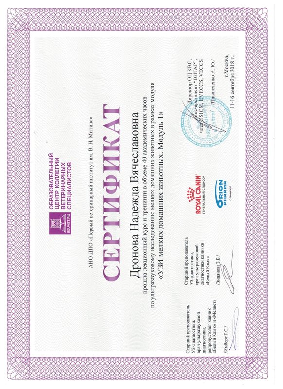 Документ или сертификат