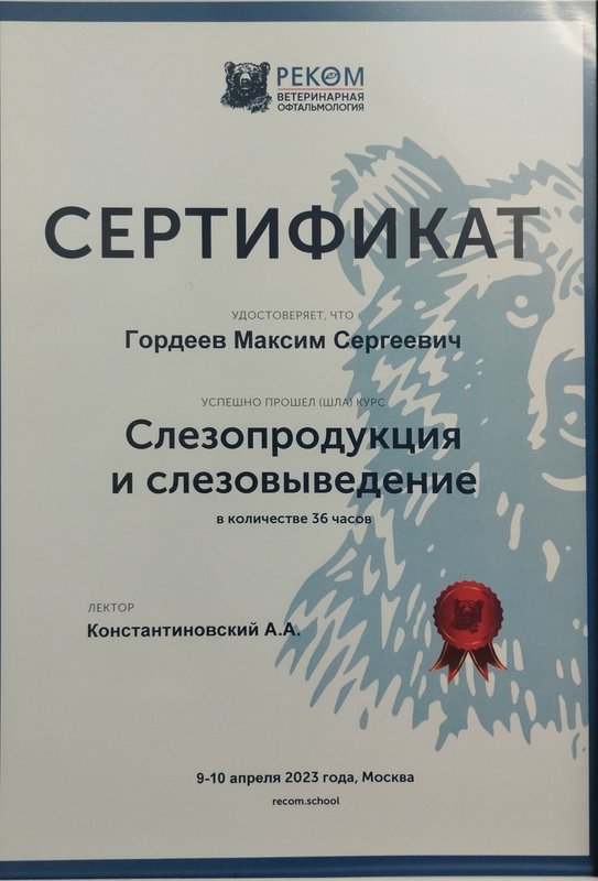 Документ или сертификат
