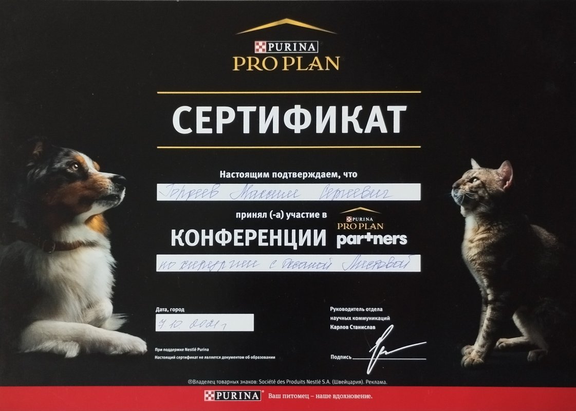 Документ или сертификат