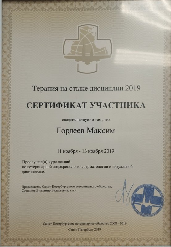 Документ или сертификат