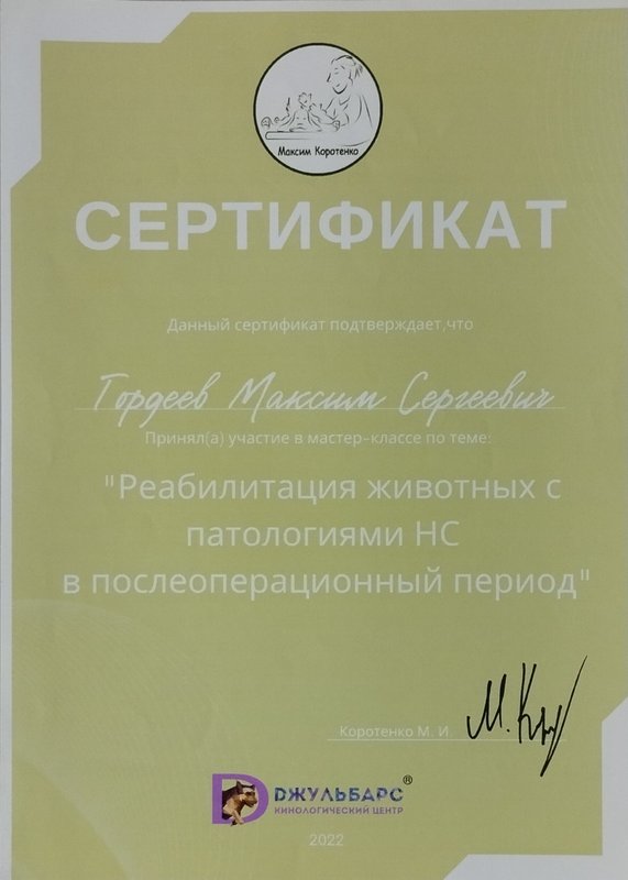 Документ или сертификат
