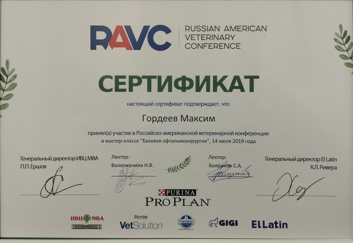 Документ или сертификат