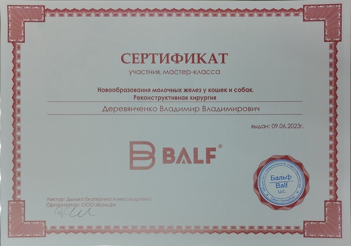 Документ или сертификат