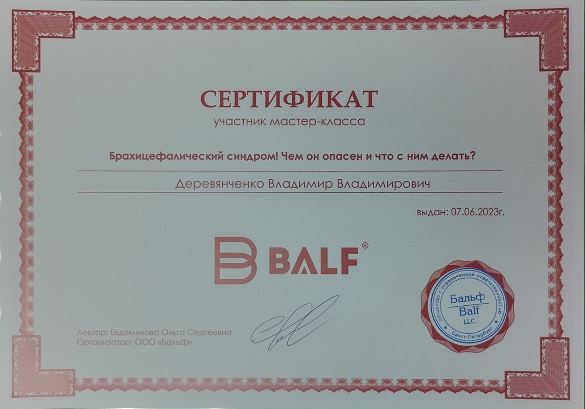 Документ или сертификат