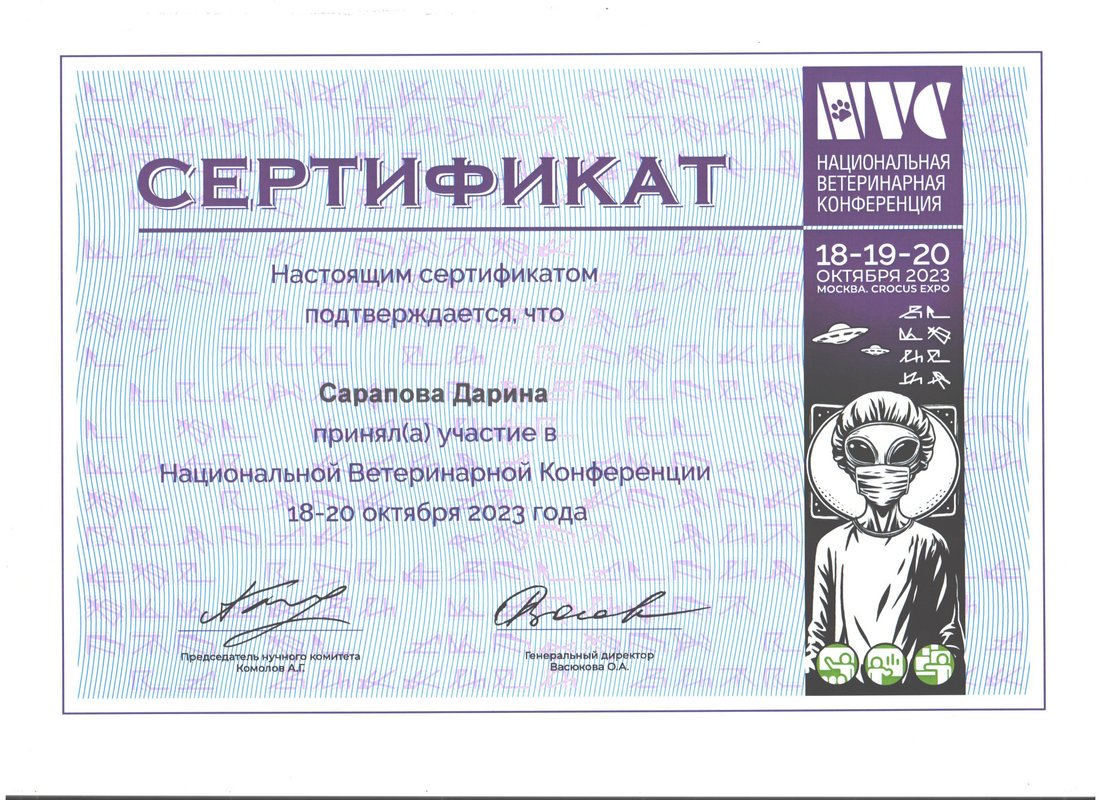 Документ или сертификат