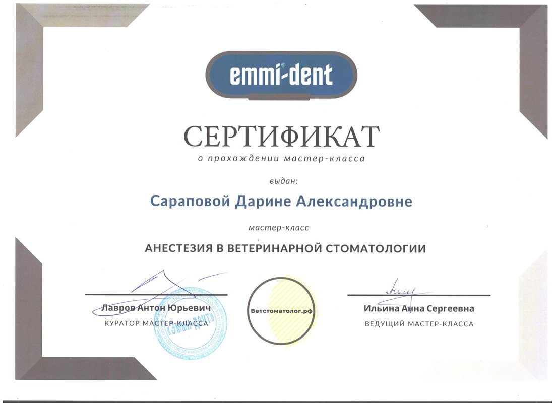 Документ или сертификат