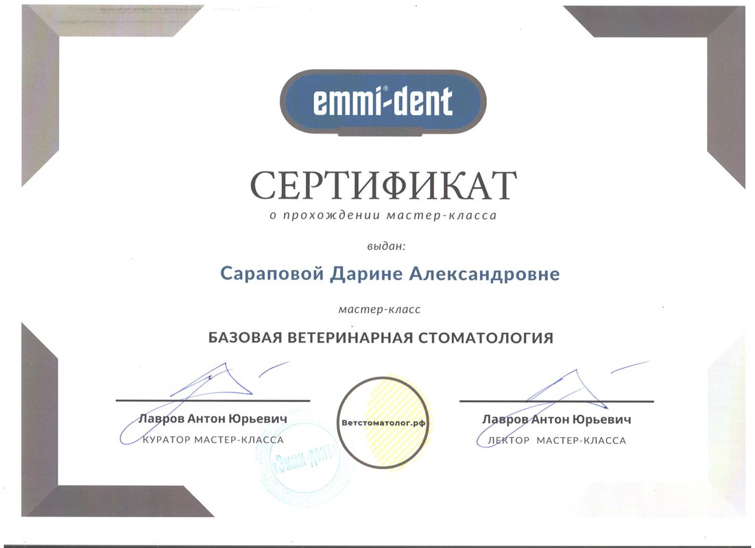 Документ или сертификат