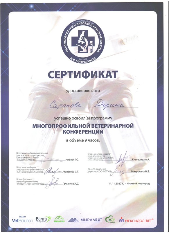 Документ или сертификат
