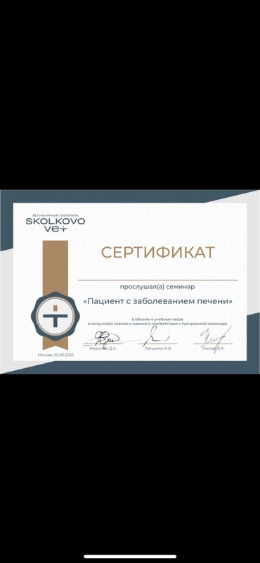 Документ или сертификат