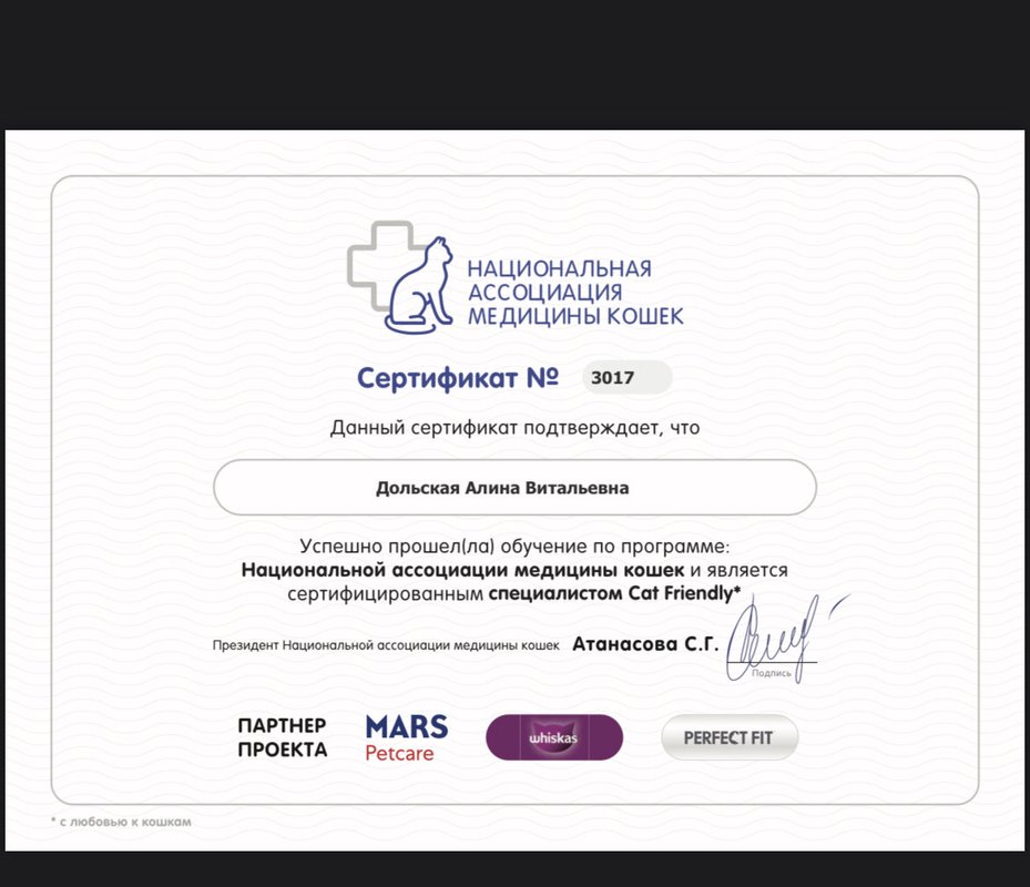 Документ или сертификат