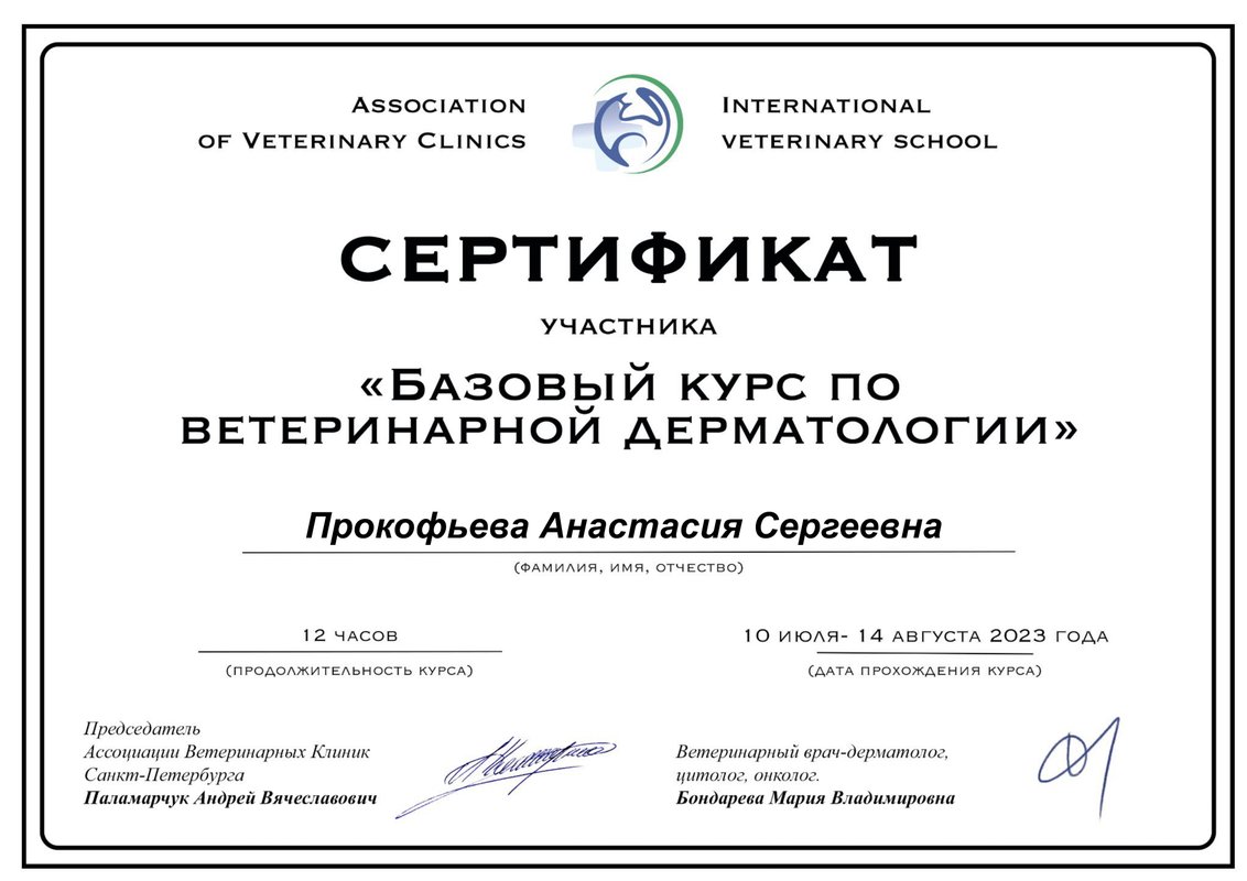Документ или сертификат