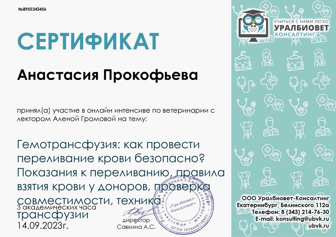 Документ или сертификат