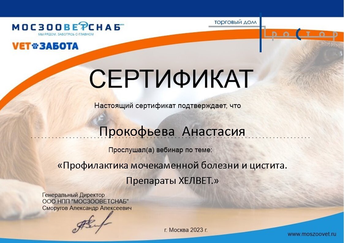 Документ или сертификат