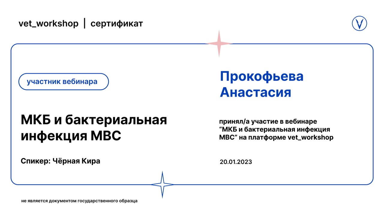 Документ или сертификат