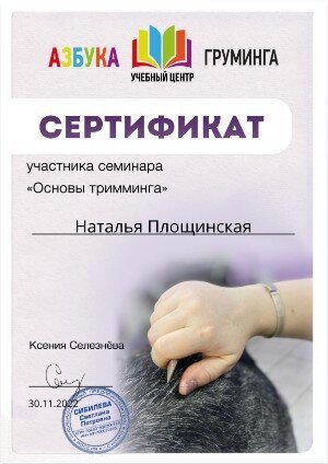 Документ или сертификат