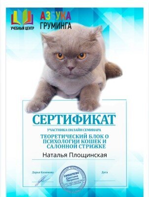 Документ или сертификат