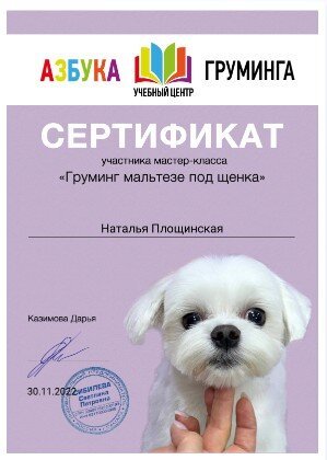 Документ или сертификат