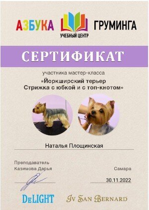 Документ или сертификат