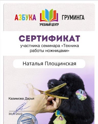 Документ или сертификат