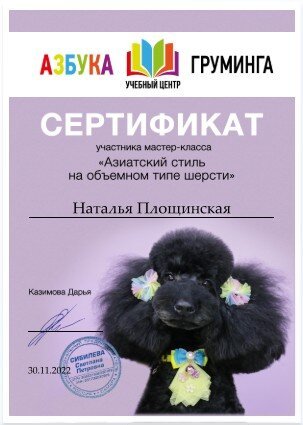 Документ или сертификат