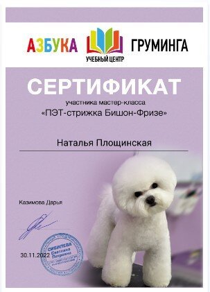 Документ или сертификат
