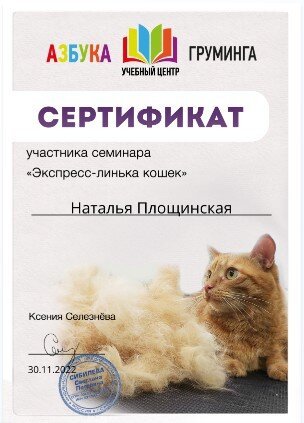 Документ или сертификат