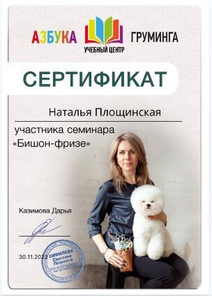 Документ или сертификат