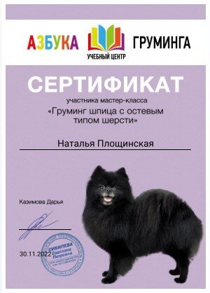 Документ или сертификат